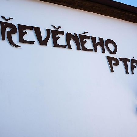 Penzion U Dreveneho Ptaka Hotel Protivín Екстериор снимка